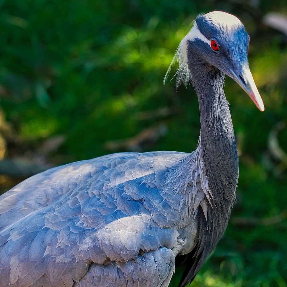 TOP 10 BEST Free Things to Do in Solano County, CA - Updated 2026 - Yelp