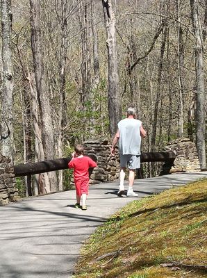 Hawks Nest State Park by null