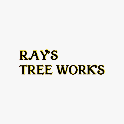 Ray's Tree Works - tree service in Pearl, MS
