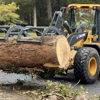Rana Tree Removal - Logs picking up day - Tree Services Near Me Rana Tree Removal - Logs picking up day - Tree Services Near Me
