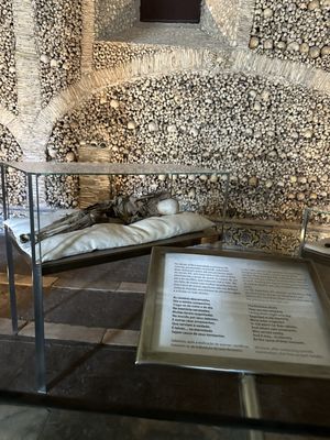 Igreja e Mosteiro de São Francisco by null