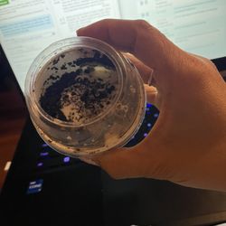 McDonald's - Shamrock McFlurry... apparently not so OREO Shamrock McFlurry