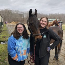Bay View Stables
