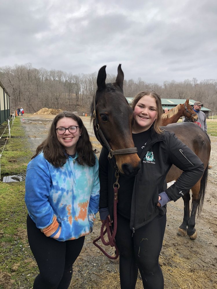 Bay View Stables - equestrian in Lexington, NC