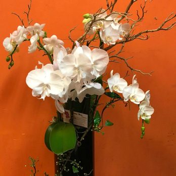 Phuong Nam Plants - Nurseries & Gardening Near Me - San Jose, California