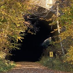 Hop River State Park Trail