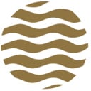 Slide of Black Hills