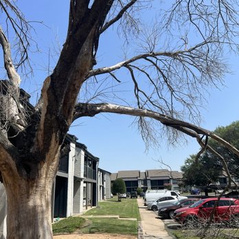 Elliot Windsprint Apartments - Apartments Near Me - Arlington, Texas