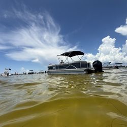 Crab Island