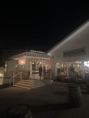 Little Coyote by null