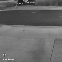 Los Angeles Times - 9/10/25 paper delivered in sprinklers water again instead of middle of driveway, we have a big driveway, lazy delivery