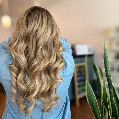 Tony Barbuto by null