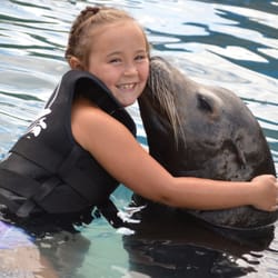 Ocean Connections - Join us for an experience of a life time!