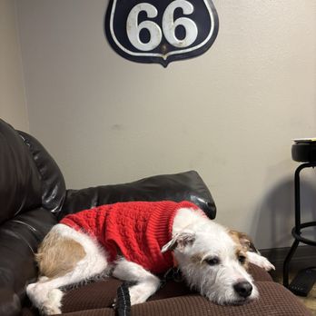 Excalibur Auto Repair - Happy dog who got cuddles from all the guys at Excalibur! - Auto Repair Near Me - Austin, Texas Excalibur Auto Repair - Happy dog who got cuddles from all the guys at Excalibur! - Auto Repair Near Me - Austin, Texas