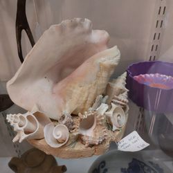 Janet's Antiques