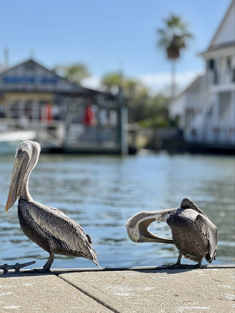 Social spots from Nature Adventures