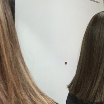 TL Red Salon - undefined - Hair Salons Near Me - Airdrie, Alberta