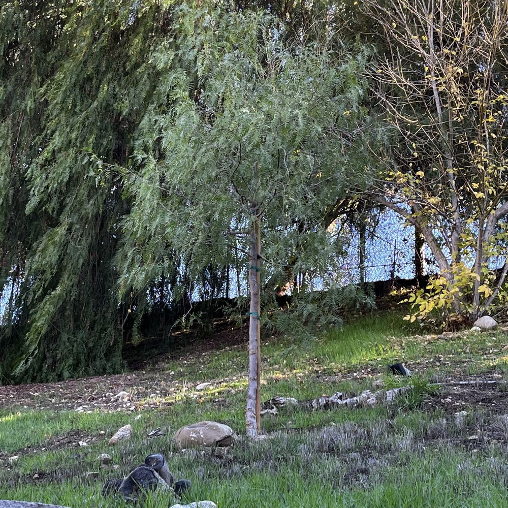 THE BEST 10 NURSERIES & GARDENING near TUJUNGA, LOS ANGELES, CA 91042 -  Updated 2026 - Hours - Yelp