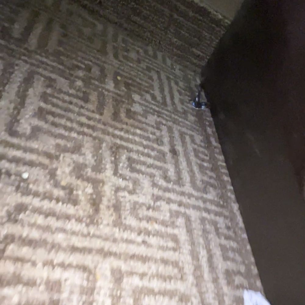 Floor by bed trash and food Floor by bed trash and food