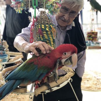 Omar's Exotic Birds - Pet Stores Near Me - Brea, California