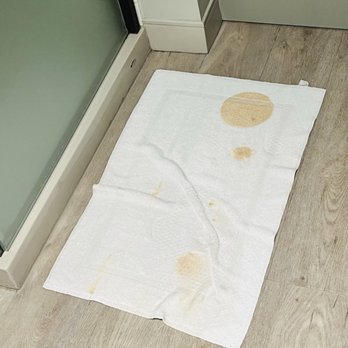Hyatt Centric Faneuil Hall Boston - Shower/Bath Mat with brown/orange stains - Hotels Near Me - Boston, Massachusetts
