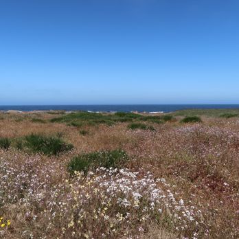 Glass Beach - Beaches Near Me