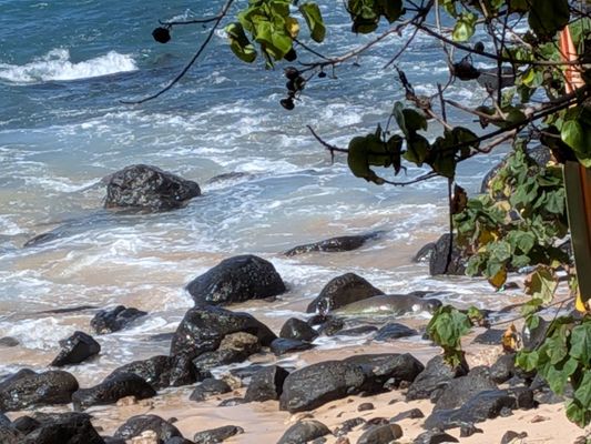 Laniakea Beach by null