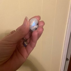 Jupiters Dust - 1/28/23 gorgeous rainbow moonstone