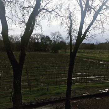 Gracianna Winery - Vineyard behind estate - Wine Tasting Room Near Me - Healdsburg, California