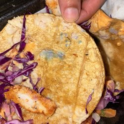 The Taco Stand - Mold on 3- Corn Shrimp Tacos