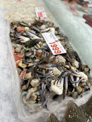 Sydney Fish Market by null