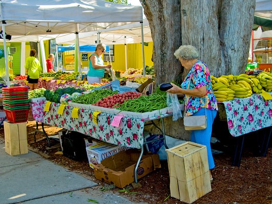 Gulfport Tuesday Fresh Market by null