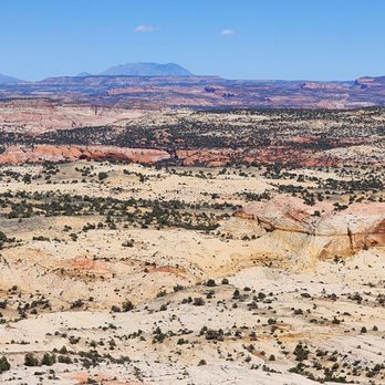 Kiva Koffeehouse - Coffee & Tea Near Me - Escalante, Utah Kiva Koffeehouse - Coffee & Tea Near Me - Escalante, Utah