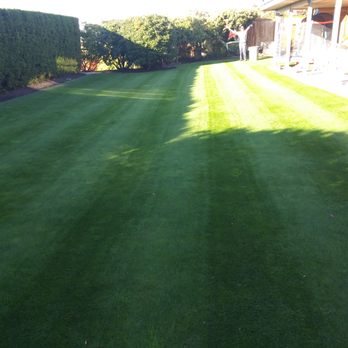 Precision Irrigation & Hardscapes - California trimmer beautiful cut - Irrigation Near Me Precision Irrigation & Hardscapes - California trimmer beautiful cut - Irrigation Near Me