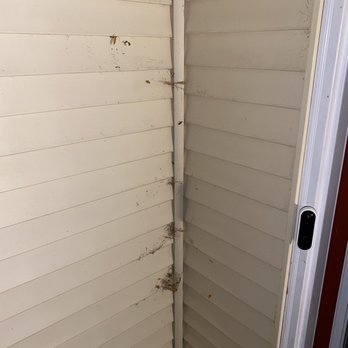 EcoShield Pest Solutions - I sweep these cobwebs down almost weekly. So much for the pheromone treatment they said would prevent this. - Pest Control Near Me - Geneva, Illinois