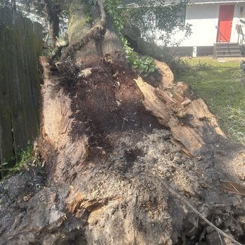 Dwayne Wilson's Tree Service - Tree Services Near Me Dwayne Wilson's Tree Service - Tree Services Near Me