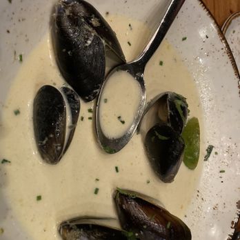 Primo Grill - Muscles in their bath - Mediterranean Near Me - Tacoma, Washington Primo Grill - Muscles in their bath - Mediterranean Near Me - Tacoma, Washington