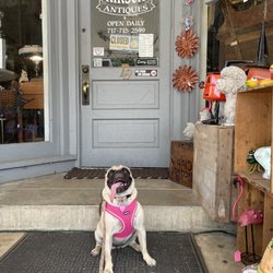 Kirsch's Antiques - They sell pug statues
