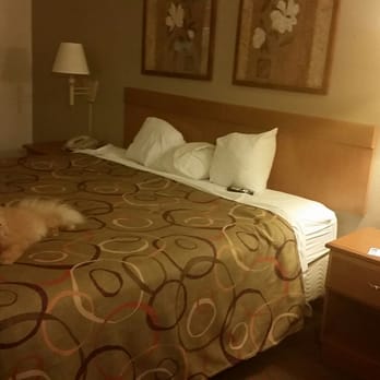 Home Towne Suites - Bed looks good enough from afar but has cig burns all over the comforter. Tiny worn down pillows. - Hotels Near Me - O'Fallon, Illinois