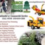 Photo of Quick Tree Service