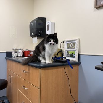 Ocean State Veterinary Specialists - Neurology Consultation Room - Veterinarians Near Me - East Greenwich, Rhode Island Ocean State Veterinary Specialists - Neurology Consultation Room - Veterinarians Near Me - East Greenwich, Rhode Island