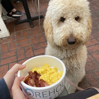 Shorehouse Kitchen - brunch bowl for our baby!! - Breakfast & Brunch Near Me - Carlsbad, California