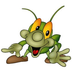 Burkitt's Bugs