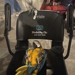 Mobility Etc - Even the birds at Disney love our mobility scooter rentals!