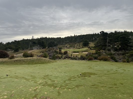 Bandon Dunes Golf Resort - Pacific Dunes by null
