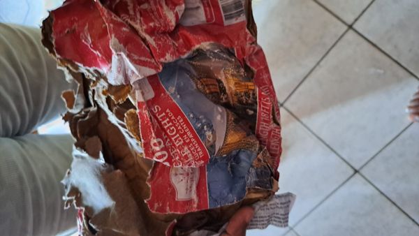 Trinbago Express Shipping Services Corporation