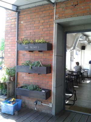 Secret Life Cafe by null