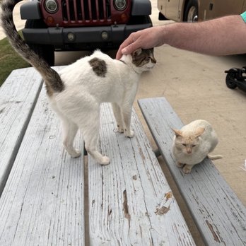 Greenlake RV Resort by QRV - RV Parks Near Me - San Antonio, Texas Greenlake RV Resort by QRV - RV Parks Near Me - San Antonio, Texas