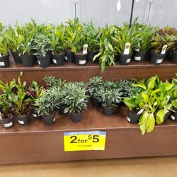 Fred Meyer One Stop Shopping
