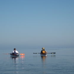 Aardvarks Florida Kayak - Matt & Sue Going Coastal